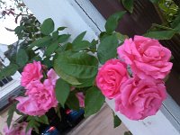 IMG 20130420 194338