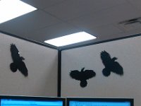 IMG 20131031 111445