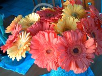 IMG 20131106 074550