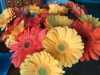IMG 20131106 074605