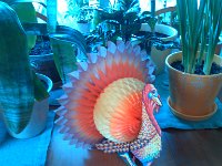 IMG 20131128 165150