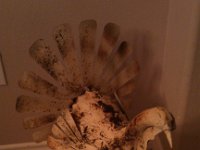 IMG 20131128 182815