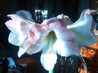 IMG 20140312 083203