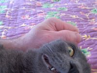 IMG 20140329 122635