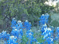 IMG 20140409 182245