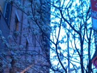 IMG 20140418 194232