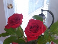 IMG 20140420 114218