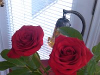 IMG 20140420 114225