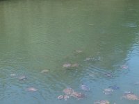 IMG 20140425 125250