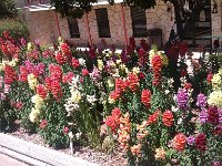 IMG 20140503 142941