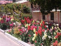 IMG 20140503 142945