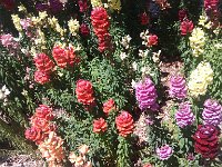 IMG 20140503 142951