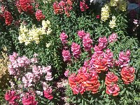 IMG 20140503 143003