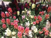 IMG 20140503 143010