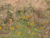 IMG 20140508 182204