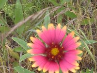 IMG 20140508 182232