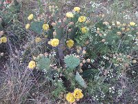 IMG 20140508 182320