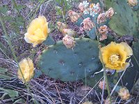IMG 20140508 182338