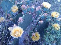 IMG 20140508 182347