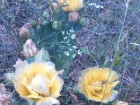 IMG 20140508 182352