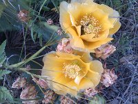 IMG 20140508 182358