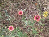IMG 20140508 182407