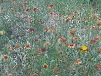 IMG 20140508 182459