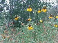 IMG 20140508 182508