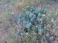 IMG 20140508 182535