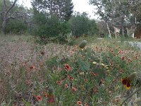 IMG 20140508 182631