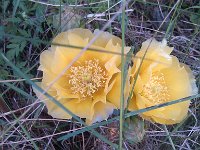 IMG 20140508 182725