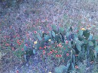 IMG 20140508 182734