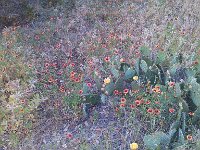 IMG 20140508 182739