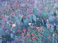IMG 20140508 182750