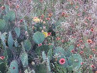 IMG 20140508 182800