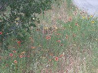 IMG 20140508 182813