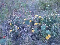 IMG 20140508 182837