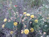 IMG 20140508 182841