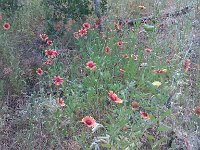 IMG 20140508 182845