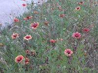IMG 20140508 182848