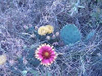 IMG 20140508 182855