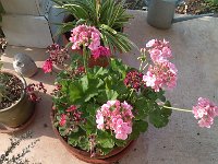 IMG 20140508 183034
