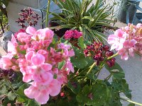 IMG 20140508 183040