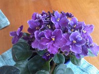 IMG 20140511 084337