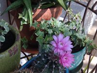 IMG 20140611 172035