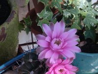 IMG 20140611 172104