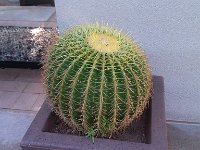 IMG 20140822 070702