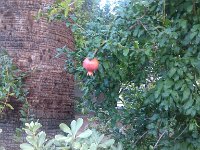IMG 20140822 072109