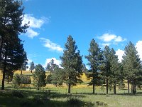 IMG 20140822 145113