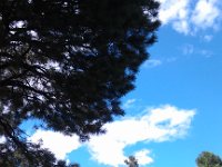 IMG 20140822 145431